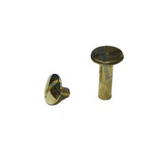 Cilt Menü, Katalog, Kartela Vidası, 20 mm - Sarı, 100 Adet (491491)