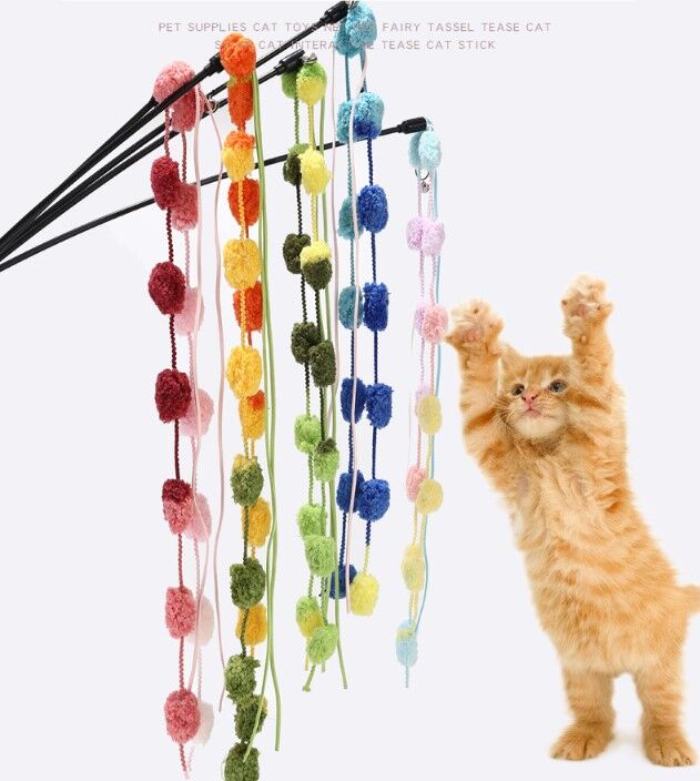 ÇINGIRAKLI KEDİ OYUN OLTASI