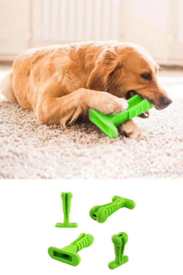 AD Köpek Diş Temizleyici Oyuncak Büyük