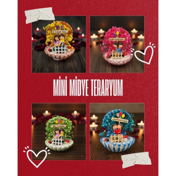 Mini Midye Teraryum - Özel Gün Hediyesi