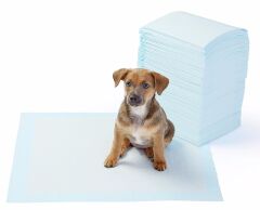 Yıkanabilir Köpek Çiş Pedi - 100 X 100 Cm 5li Paket (491491)