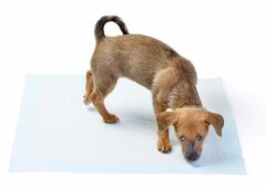 Yıkanabilir Köpek Çiş Pedi - 100 X 70 Cm 5li Paket (491491)