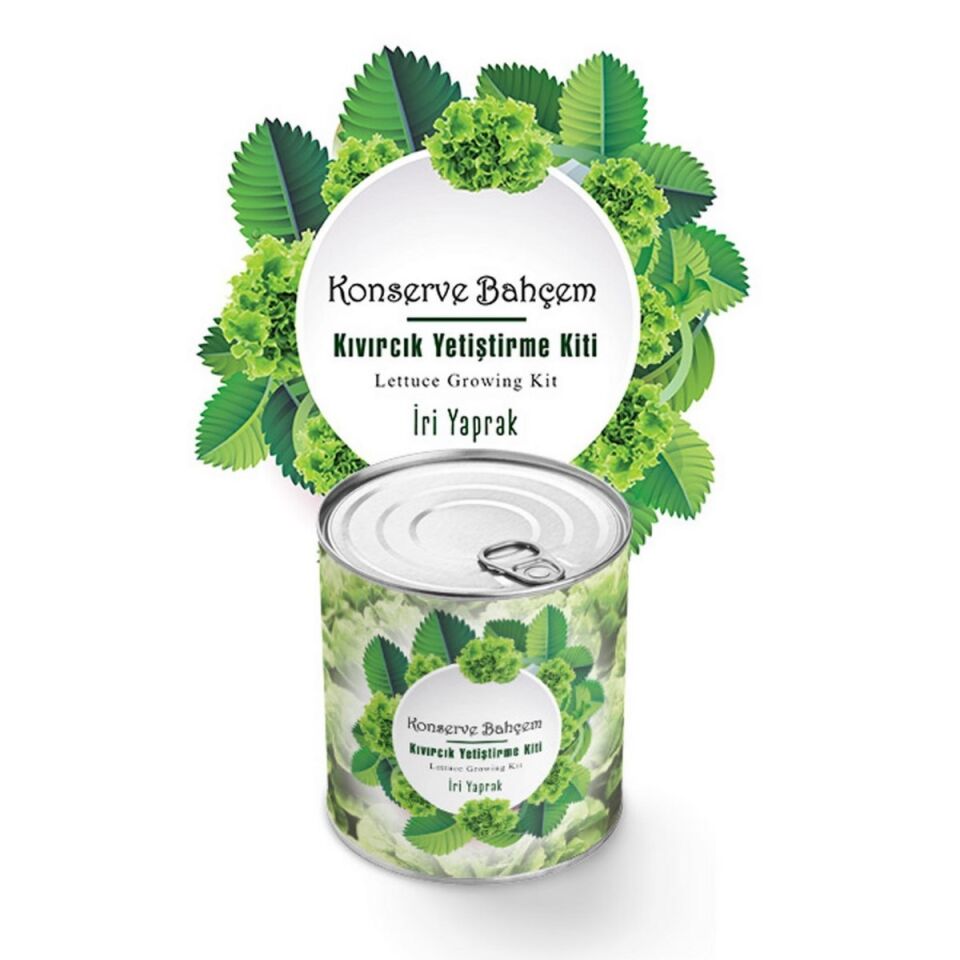 ADKonserve Bahçem Evde Konservede İri Yapraklı Kıvırcık Yetiştirme Kiti
