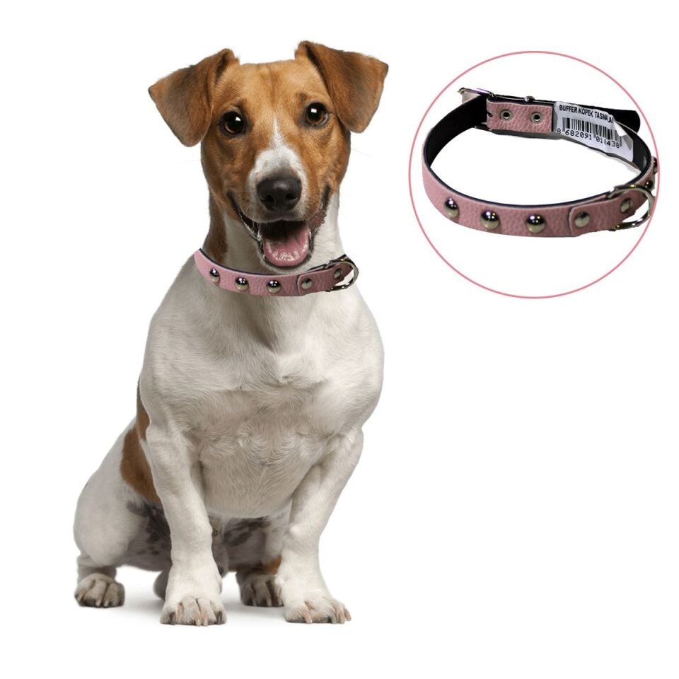 AD Yumuşak Dokulu Deri Köpek Gezdirme Boyun Tasması Medium