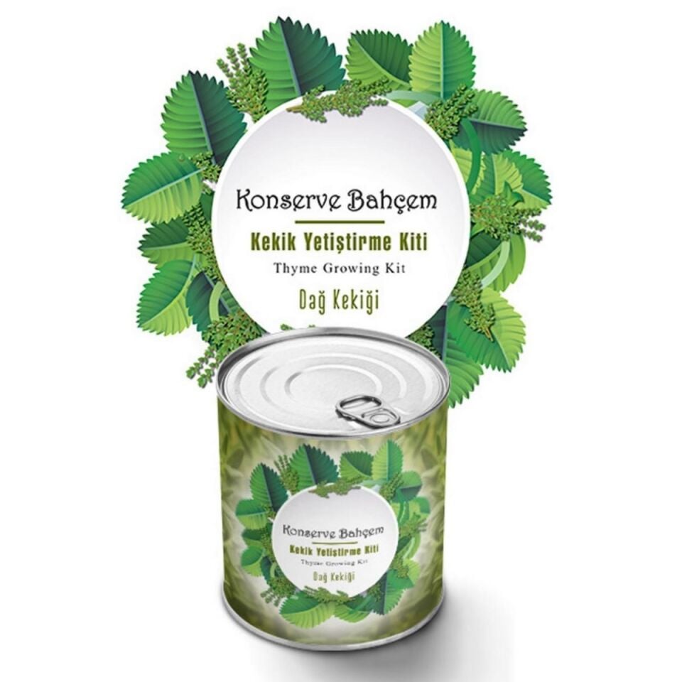 ADKonserve Bahçem Evde Konservede Kekik Dağ Kekiği Yetiştirme Kiti