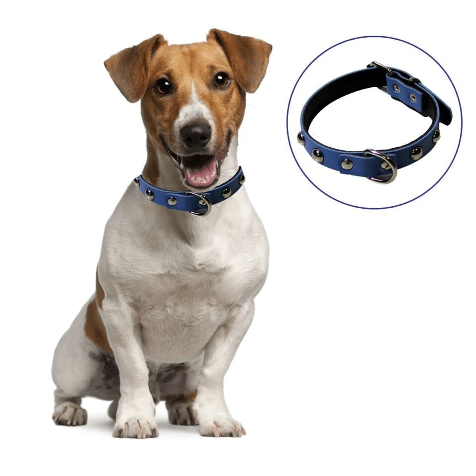 AD Yumuşak Dokulu Deri Köpek Gezdirme Boyun Tasması (Large)