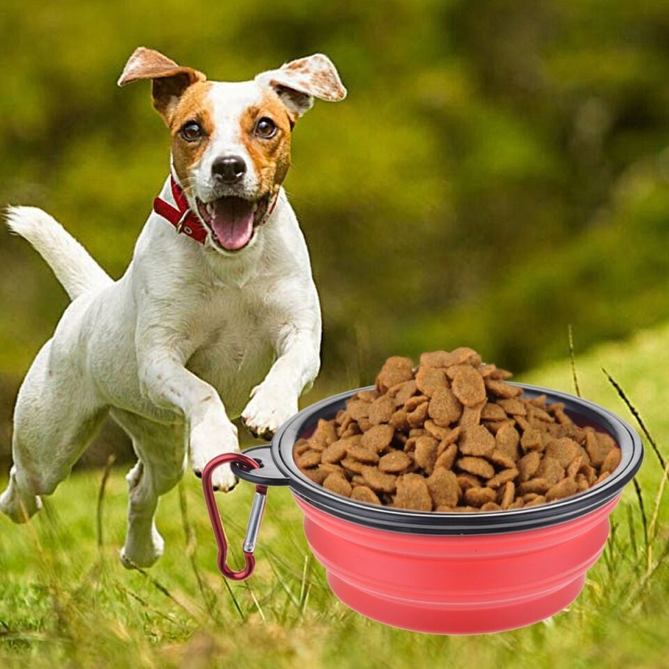 AD Katlanabilir Kedi Köpek Mama ve Su Kabı Köpek Oyuncağı