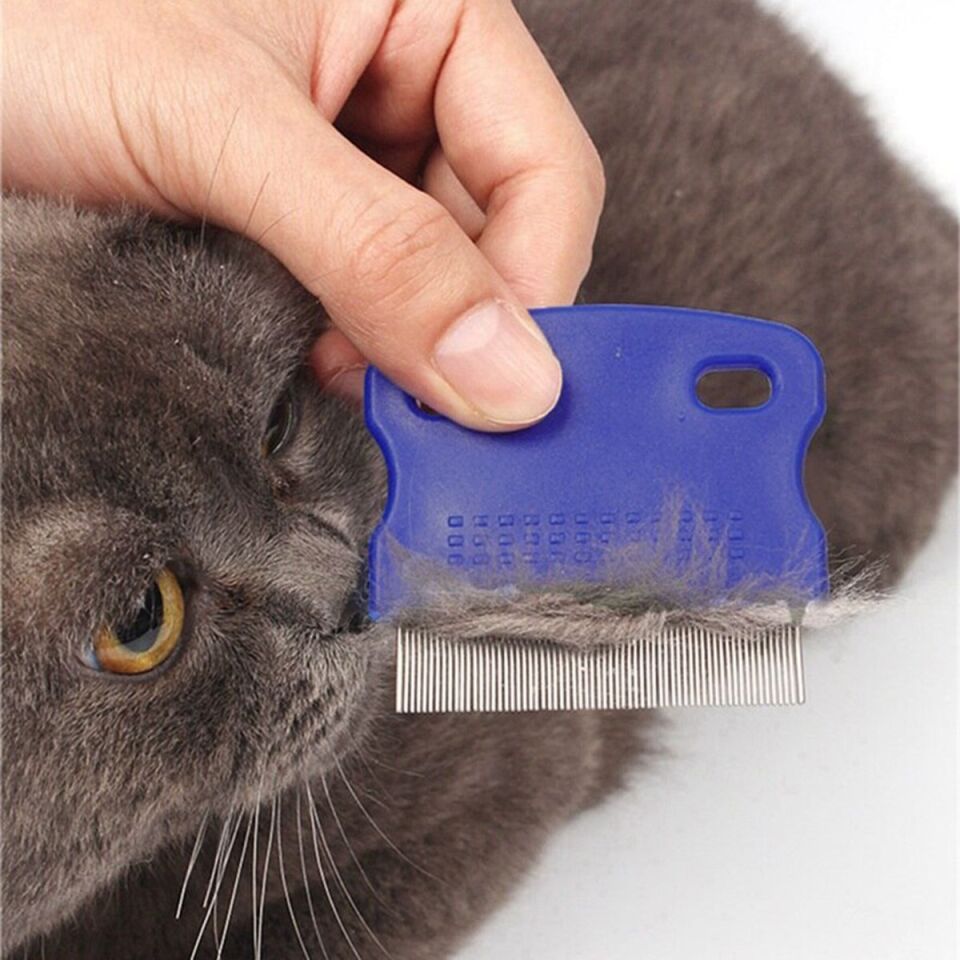 AD Evcil Hayvan Kedi Köpek Pire Tarağı ve Köpek Gözyaşı Lekesi Tarağı